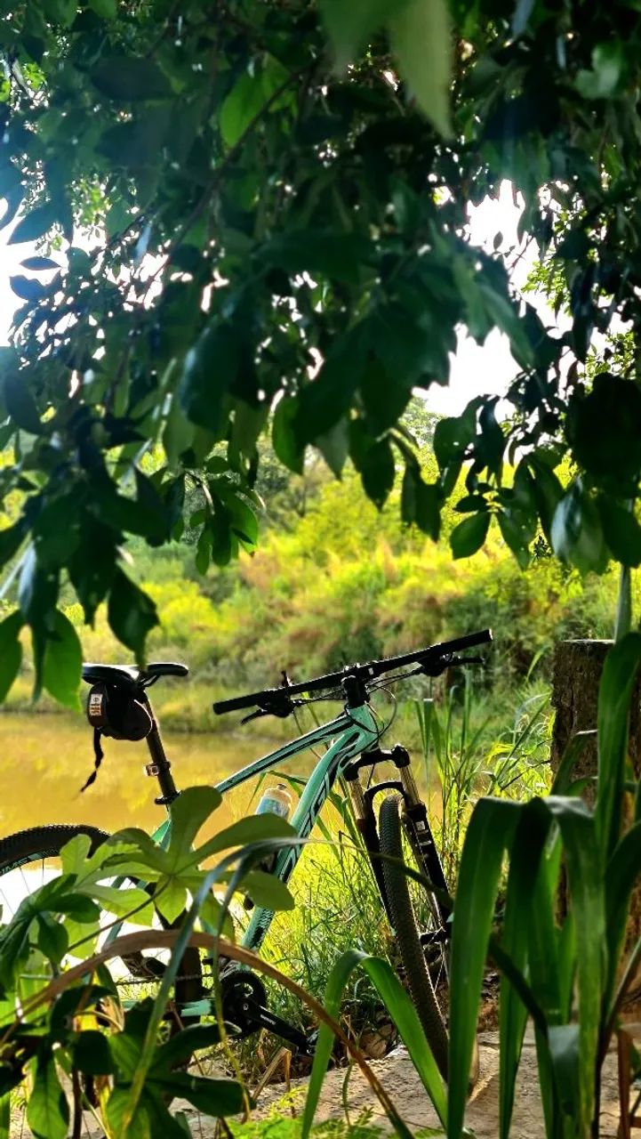 Oggi Big Wheel 7.0 2021 Cor Verde