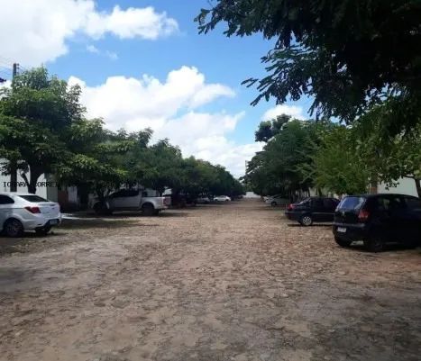 Foto - Teresina - Uruguai