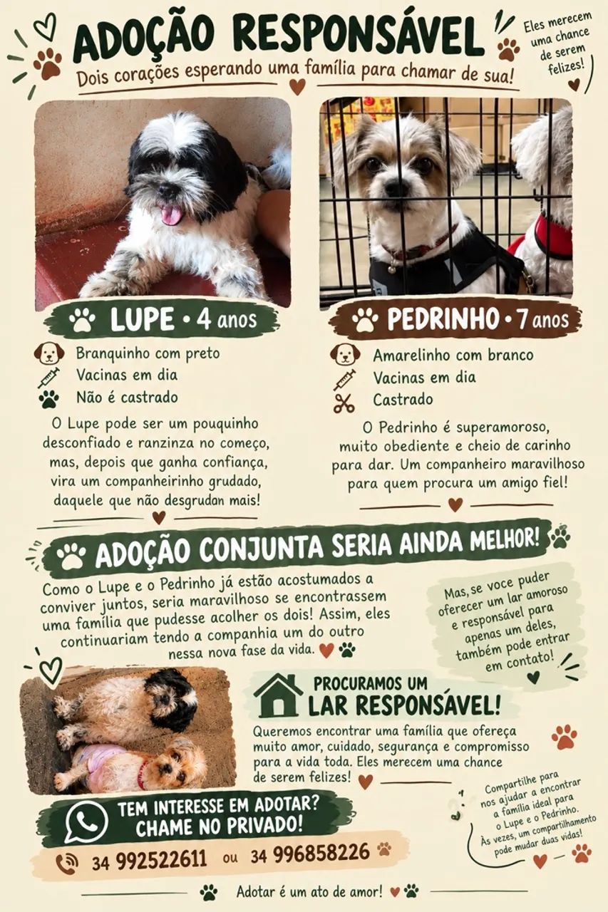 Adoção responsável 