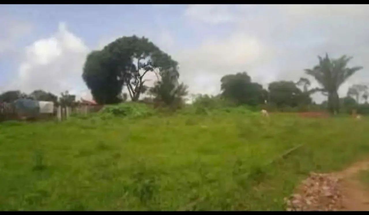 Lote  - Foto 3