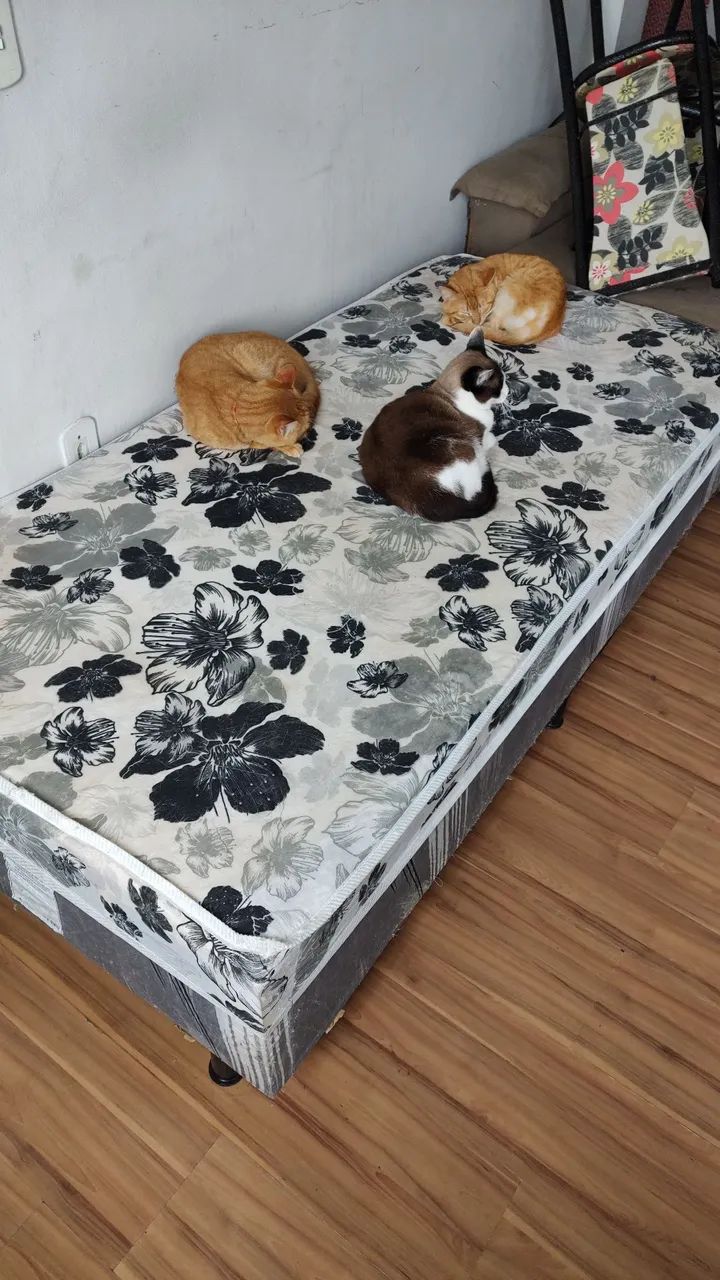 Cama box solteiro  - Foto 2