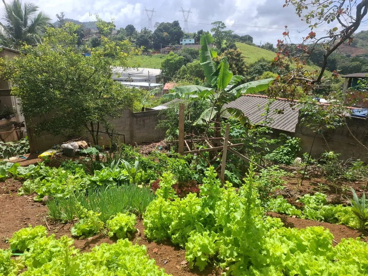 Foto - Cariacica - Novo Horizonte