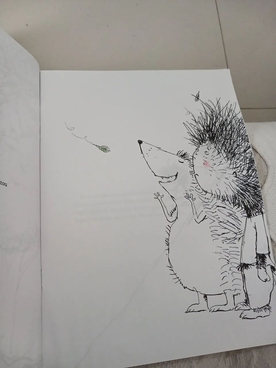 Otávio não é um porco-espinho! - Foto 2