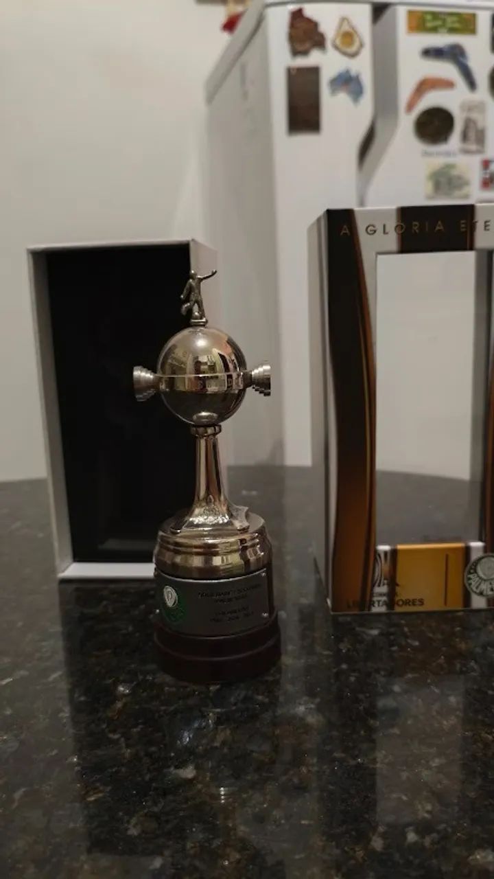 Taça Libertdores Palmeiras (miniatura) - Foto 4