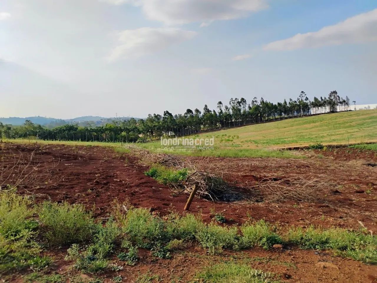 Terreno à Venda em Centro, Jataizinho - PR - Foto 3