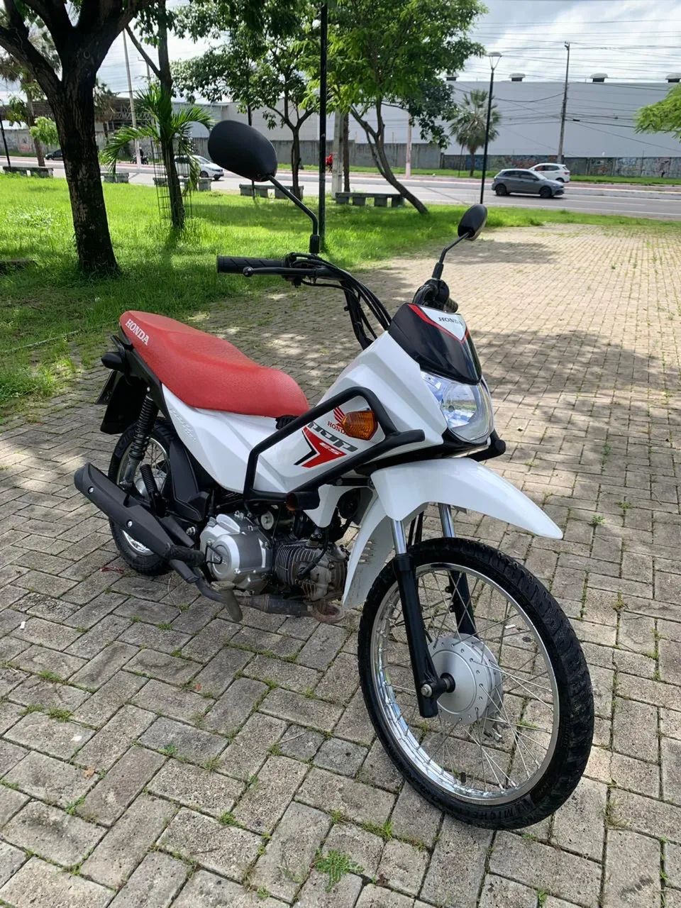 Honda pop 