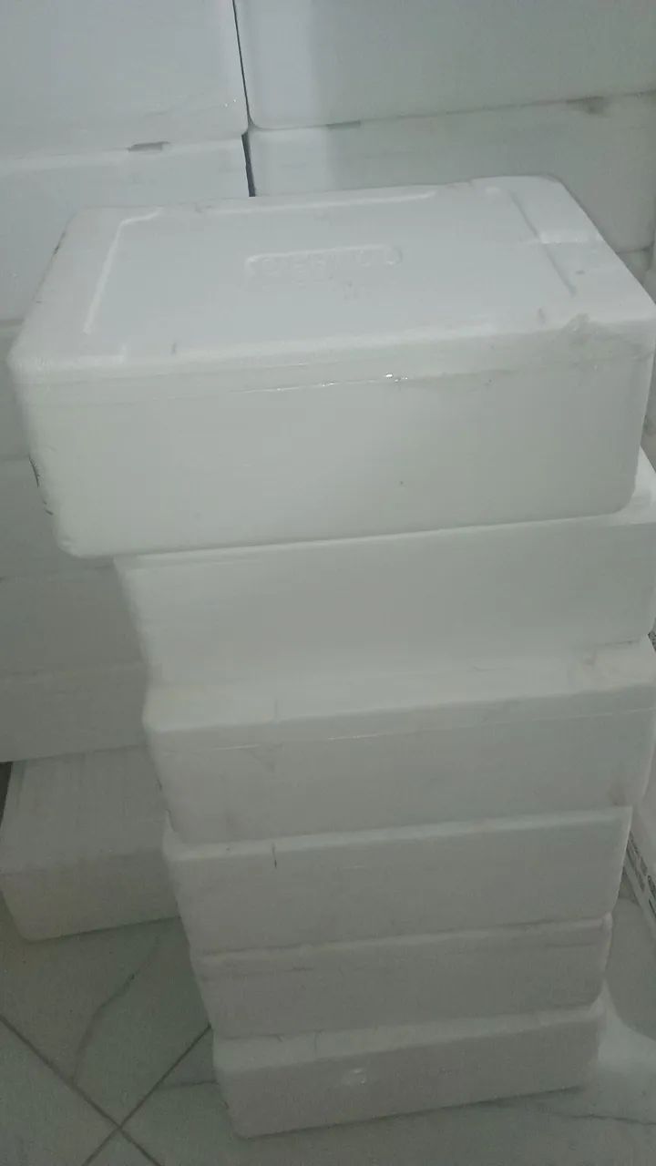 Caixa de isopor para peixe picolé  - Foto 2