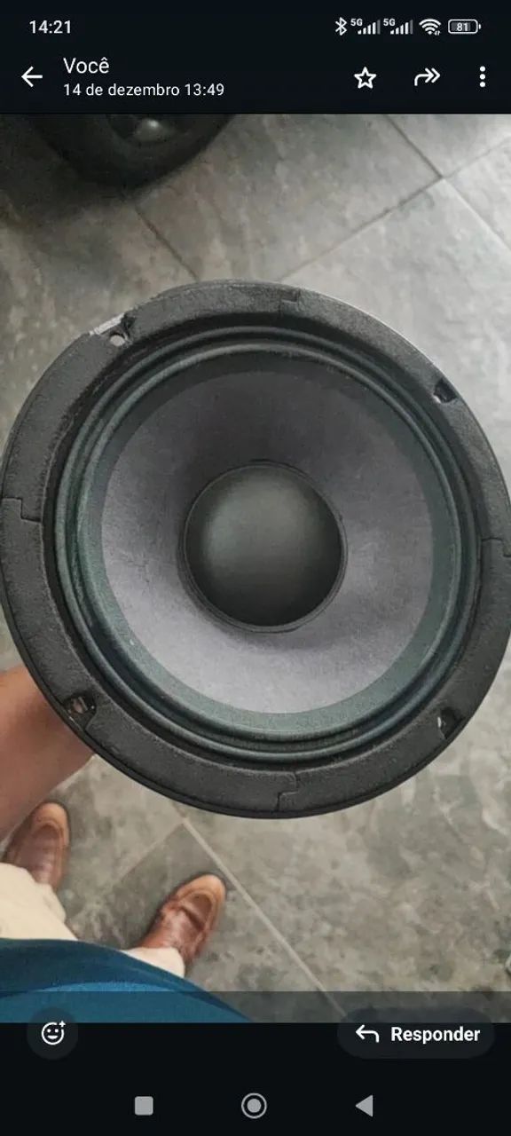 Alto falante 10" snake 