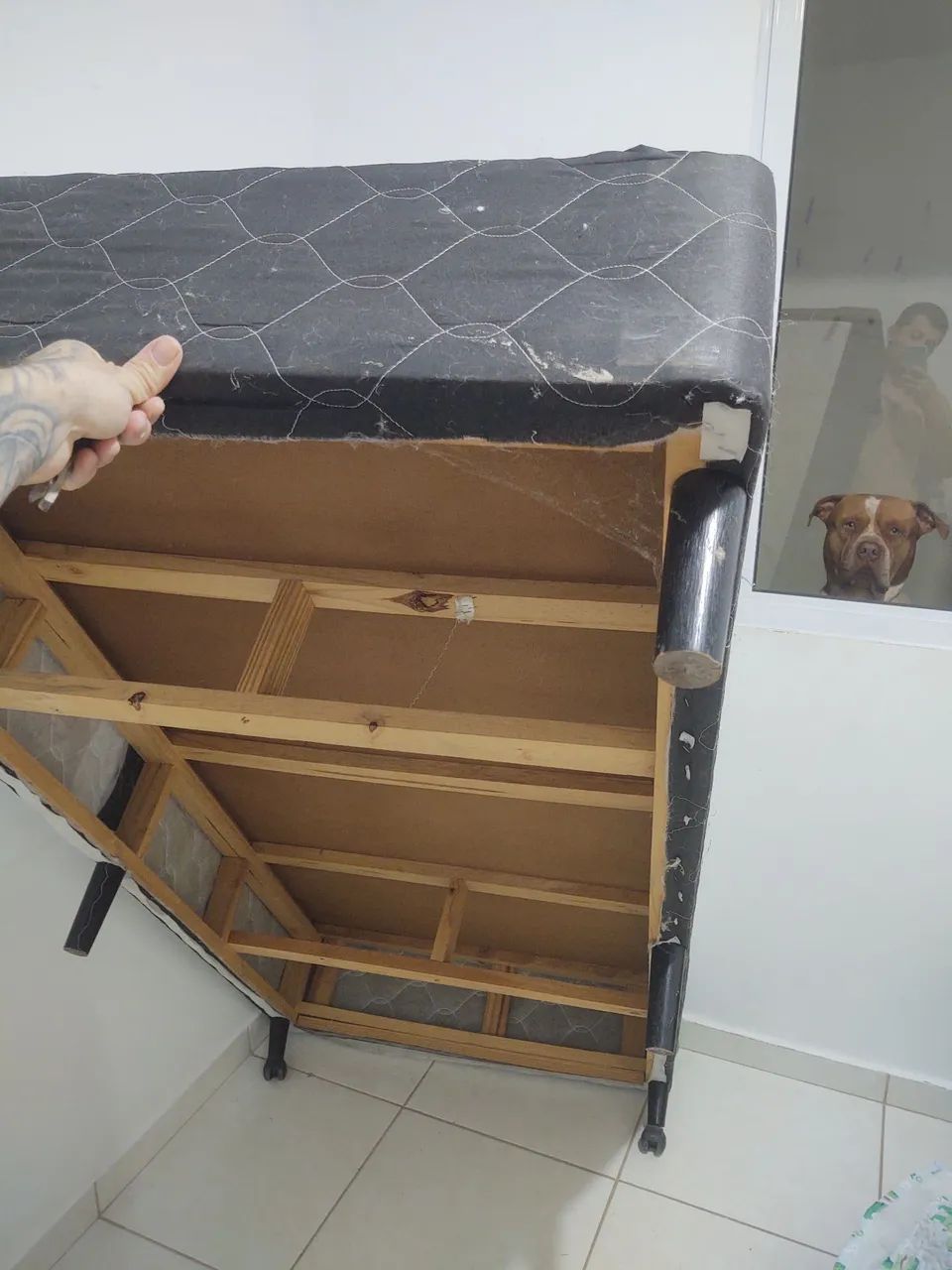 Box de Solteiro - Foto 3