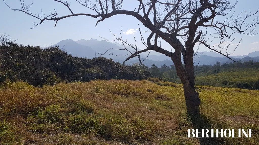 Excelente terreno no Jardim Martinelli - Foto 5
