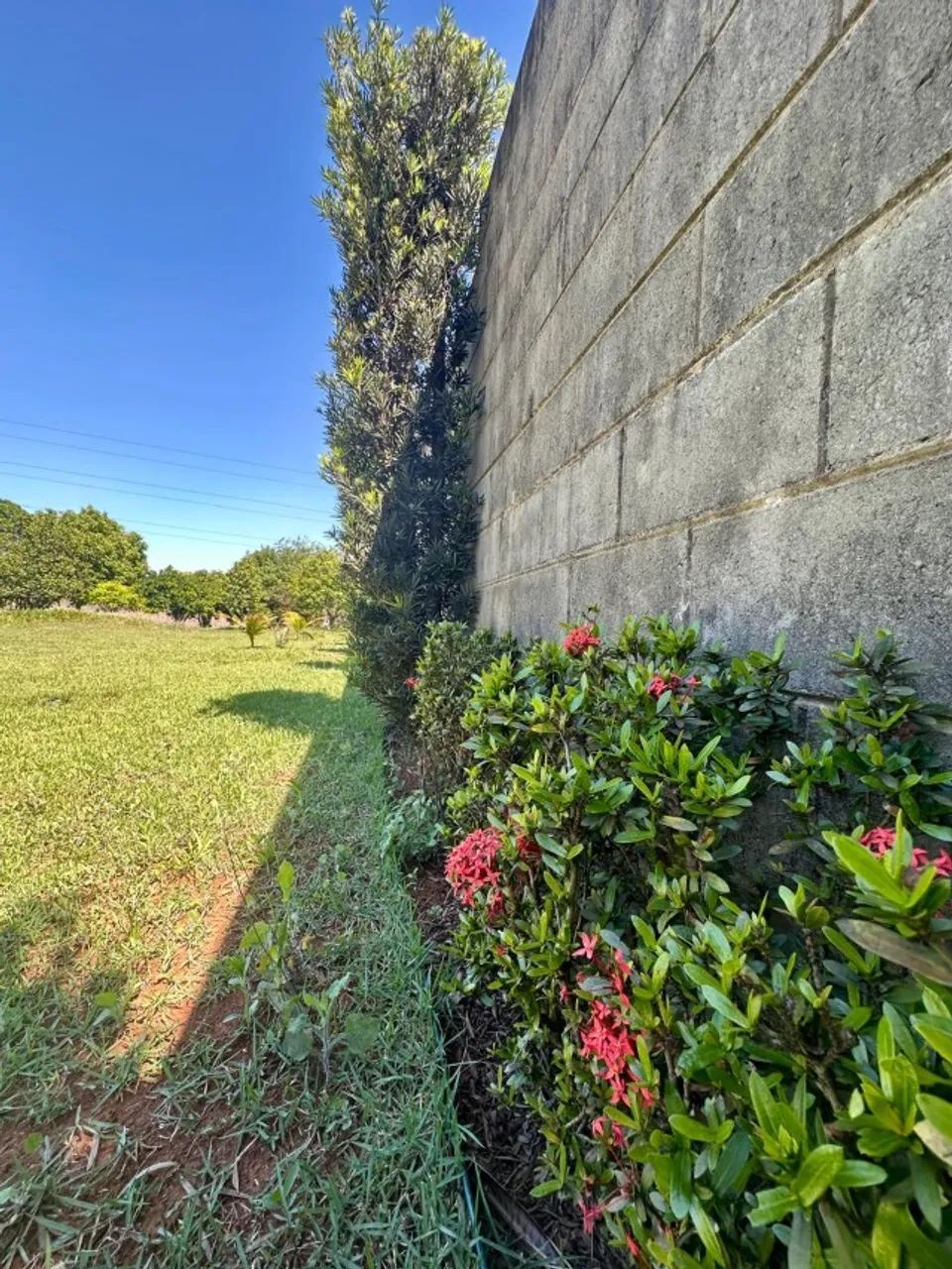 CHÁCARA À VENDA - 2.100 M² COM POMAR E ÁREA VERDE  EM SUMARÉ - Foto 3