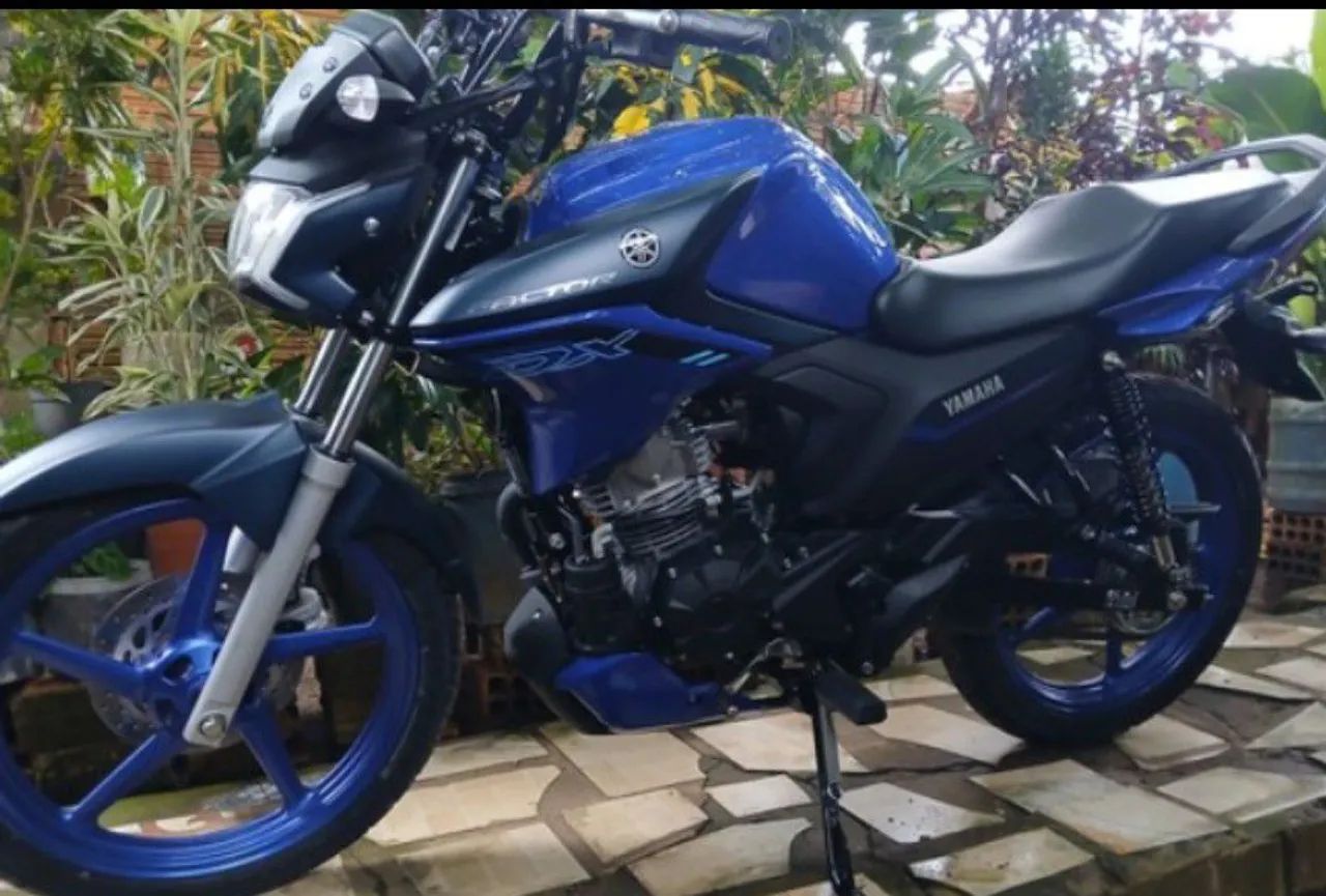 Factor 150 dx