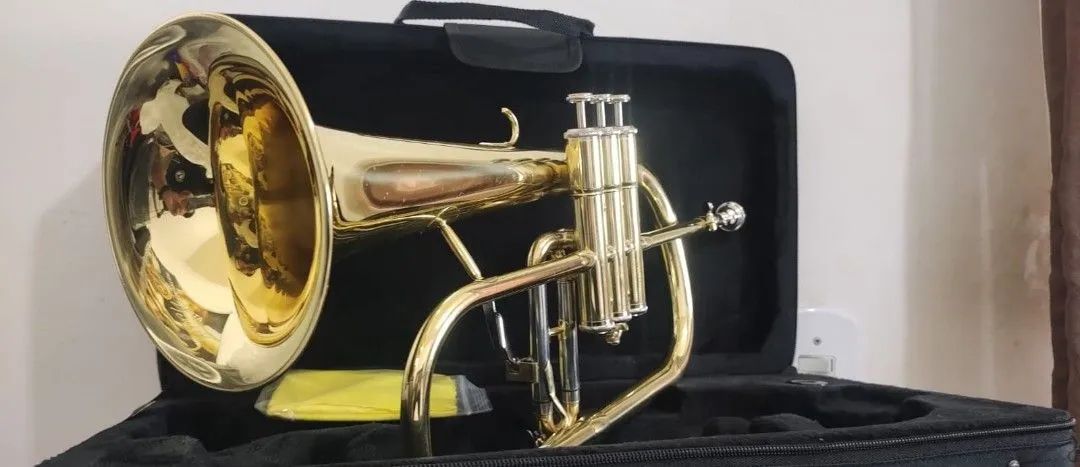 Flugelhorn  - Foto 3