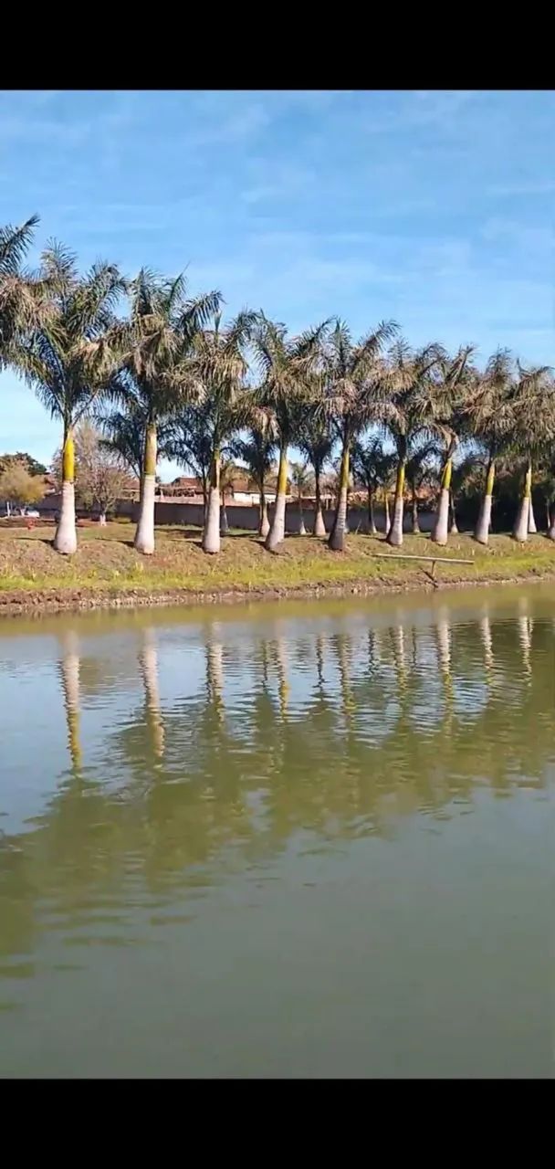 Chácara urbana - Foto 2
