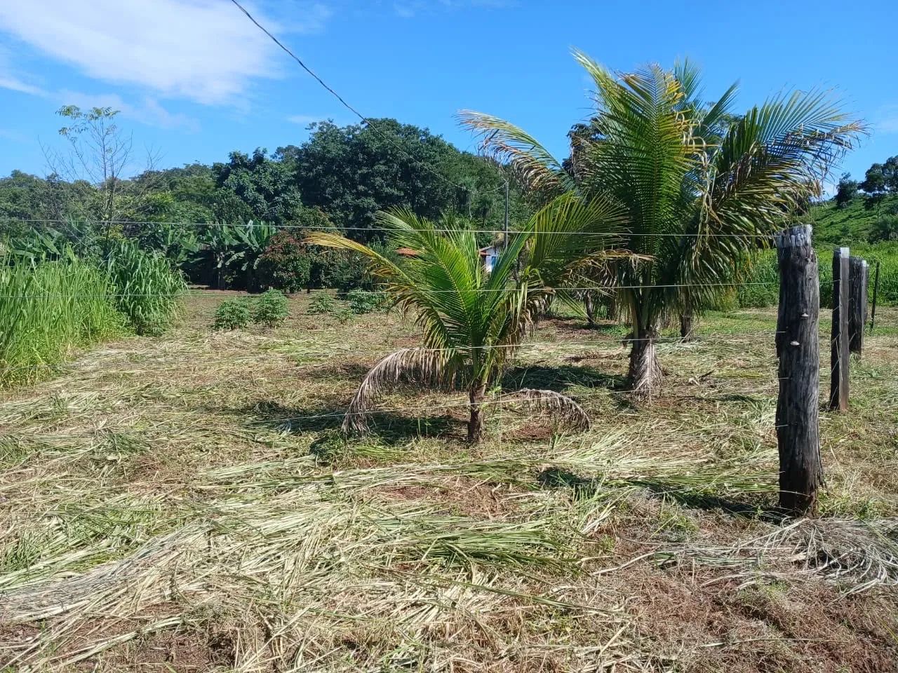 Chácara com estrutura completa no luzimangues - Foto 4