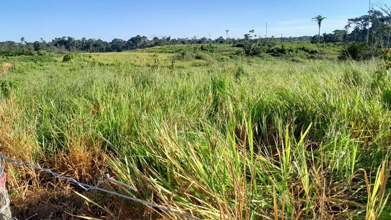 VENDO COLÔNIA RAMAL DO FUMAÇA  - Foto 4