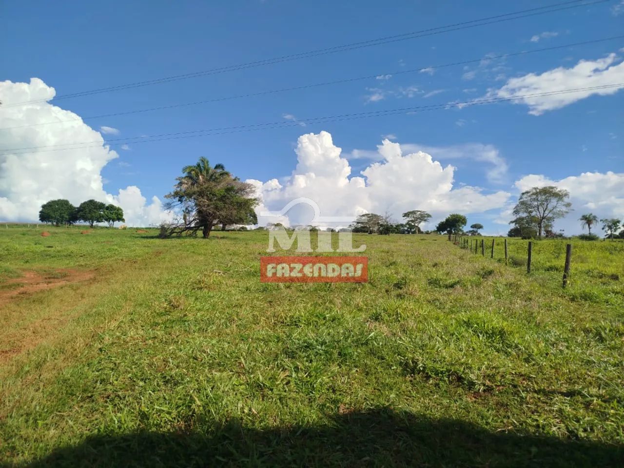 Chácara 37,500 M² em Caturaí - MG - Foto 3