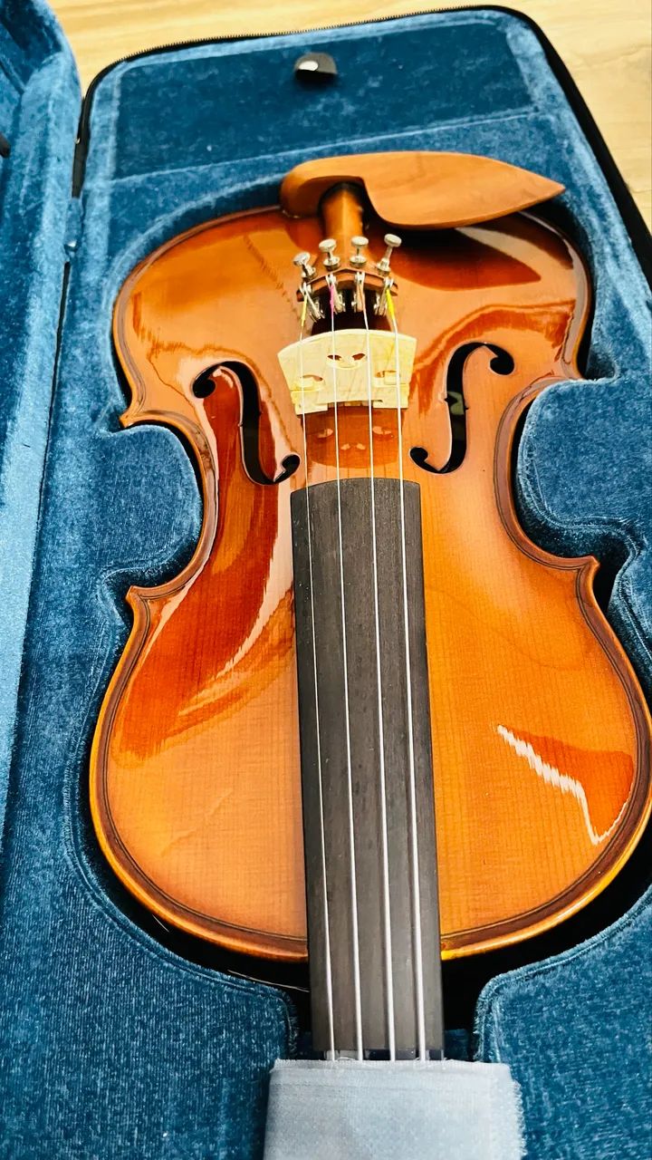 Violino eagle ve441 - Foto 4