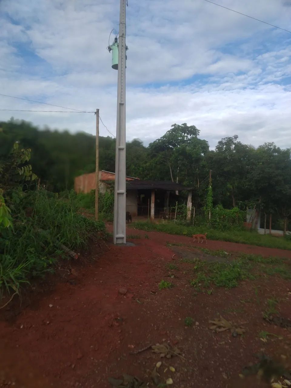 Foto - Goiânia - Feliz