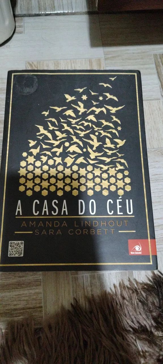 Livro A casa do céu