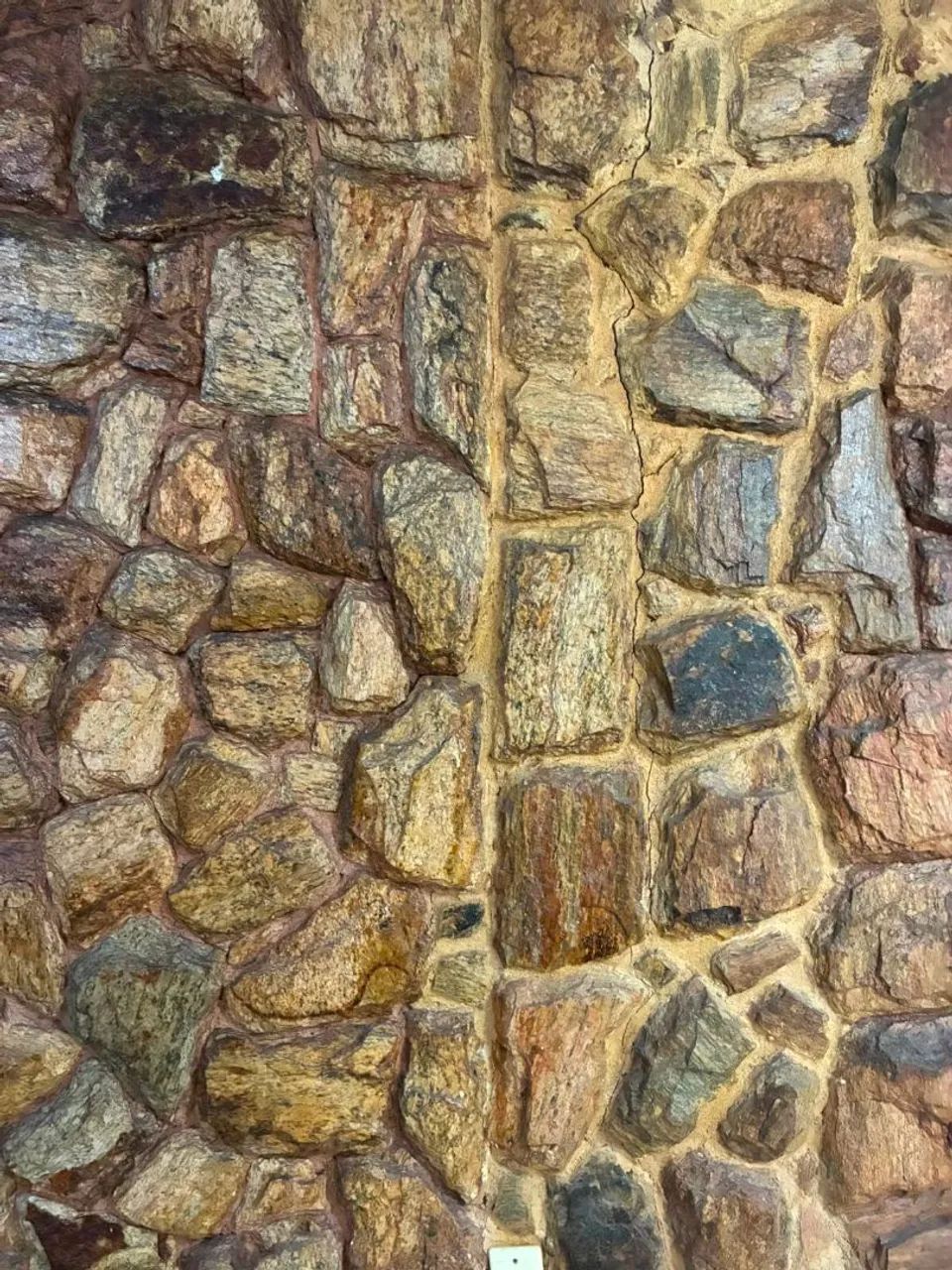 Pedras madeira amarela - Foto 4