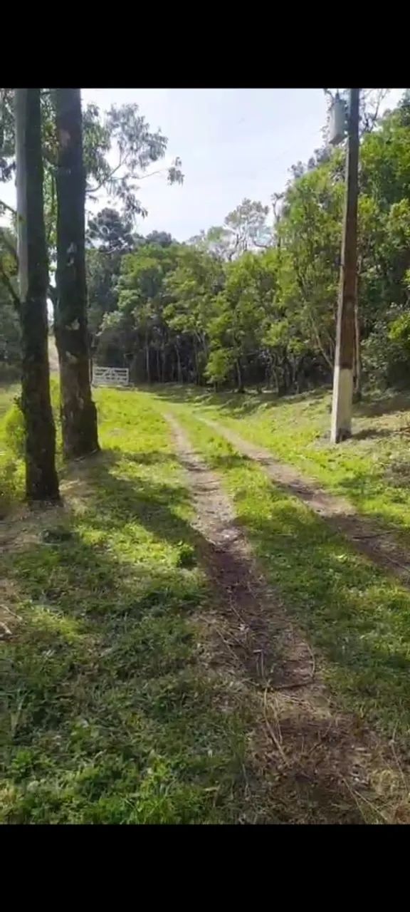 Vendo terreno Ibiúna bairro dos alves  - Foto 2