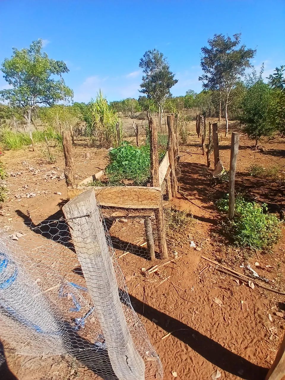 Fazenda 8 algueiros  - Foto 3