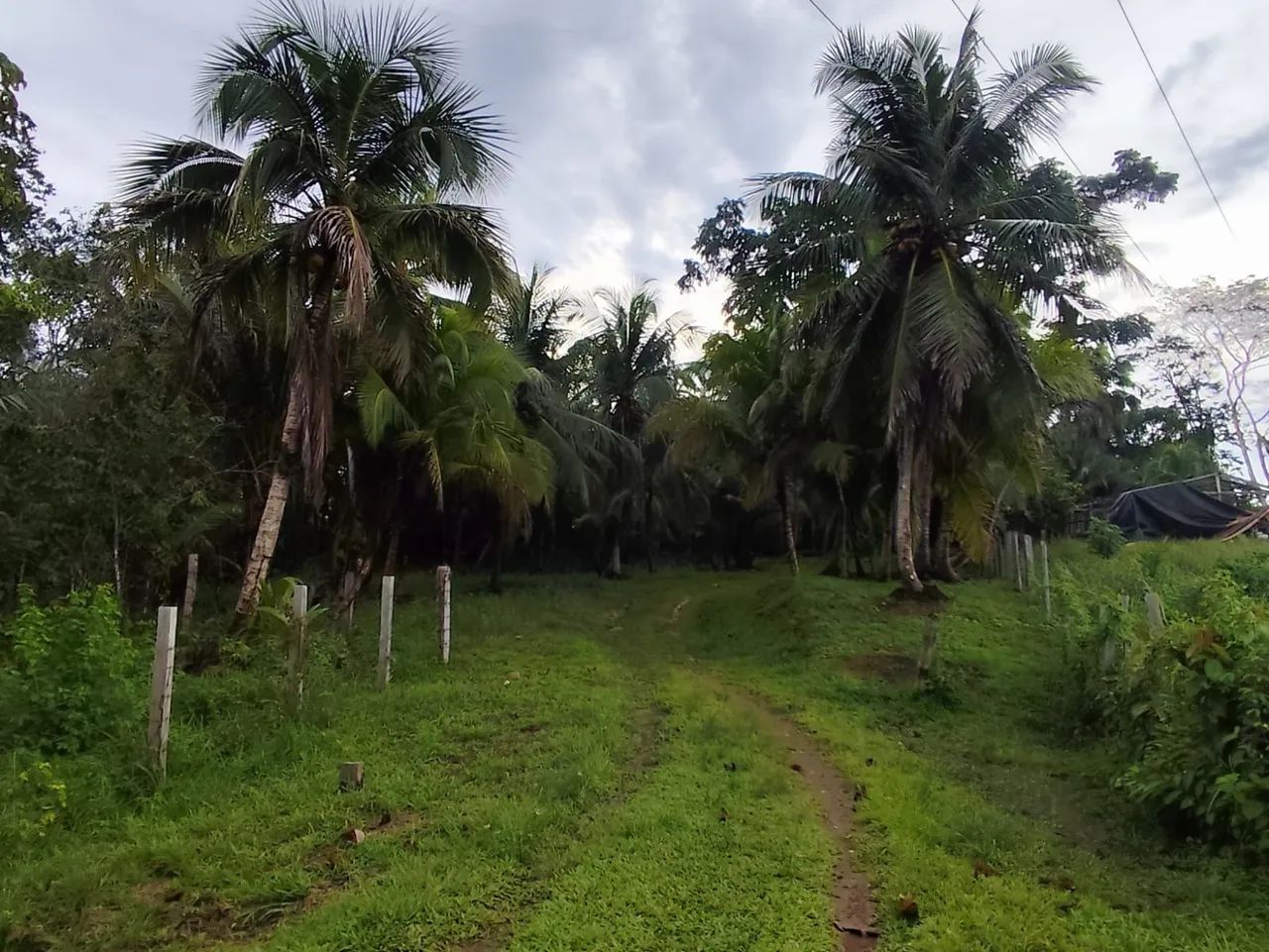 Fazenda - Foto 2
