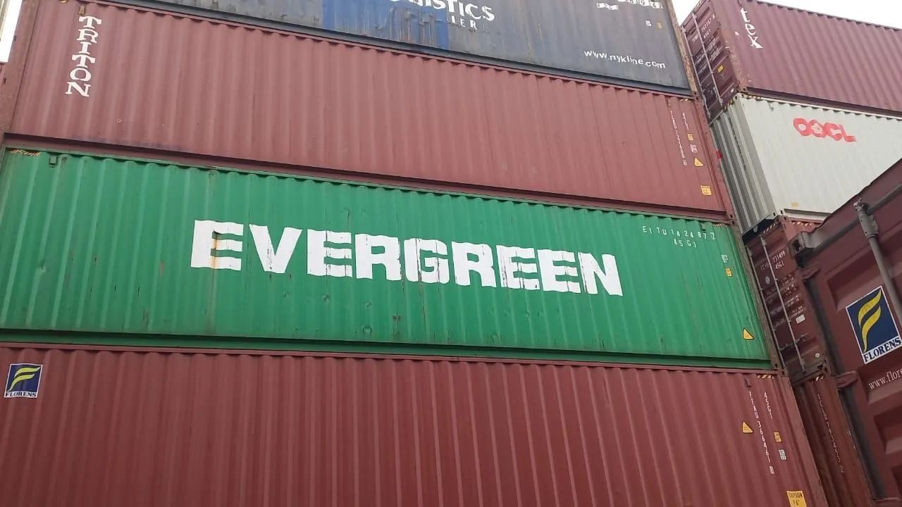 Container resistente  - Foto 3