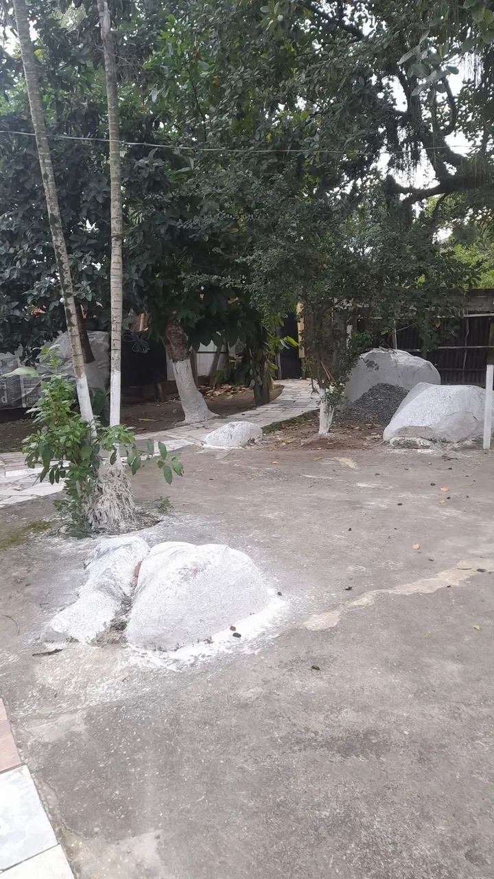 Nini sitio  - Foto 5