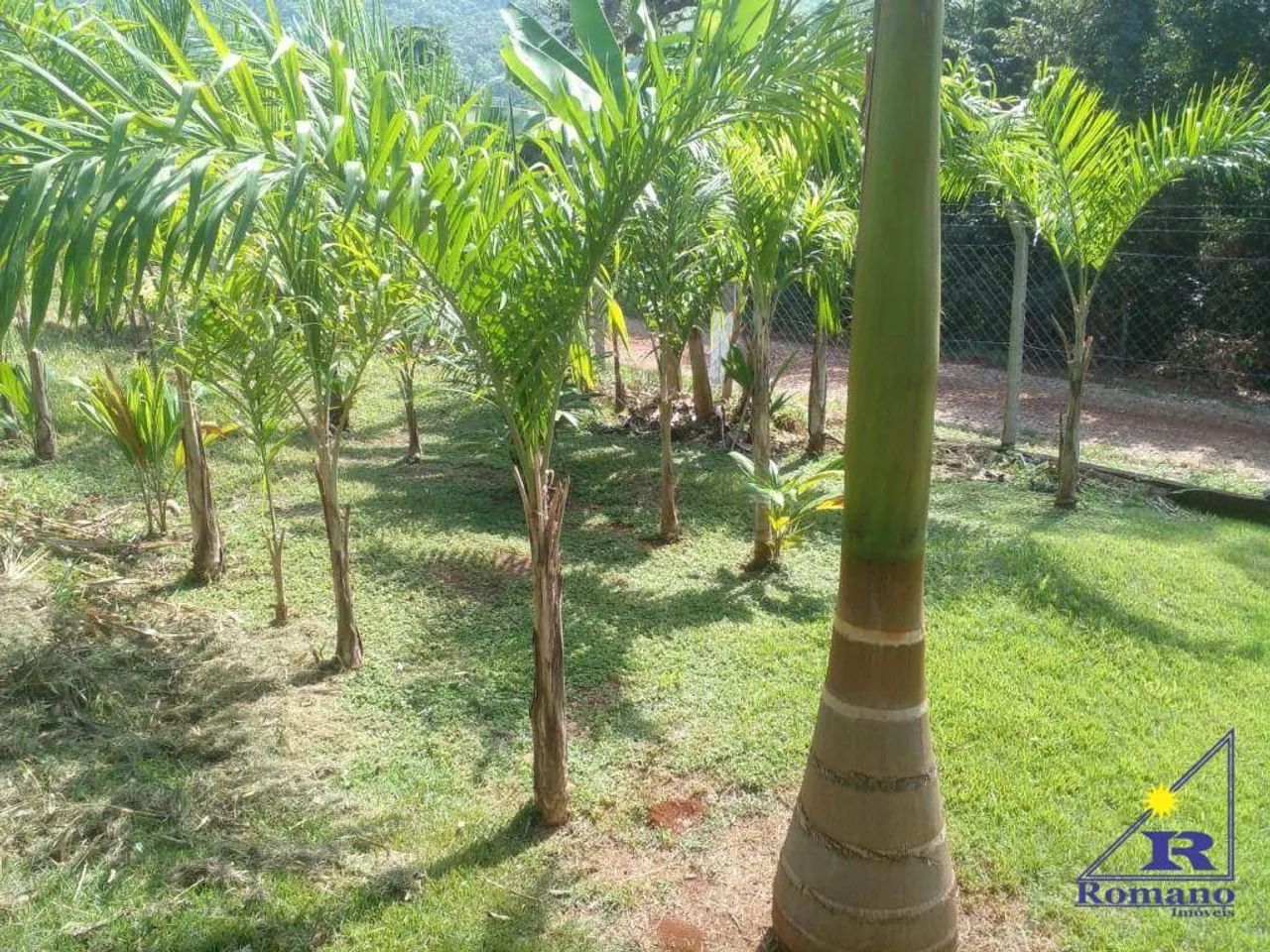 Terreno São Pedro....10.280 - Foto 3