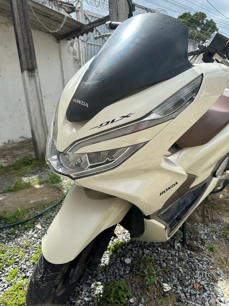 PCX DLX 2019 - Foto 2