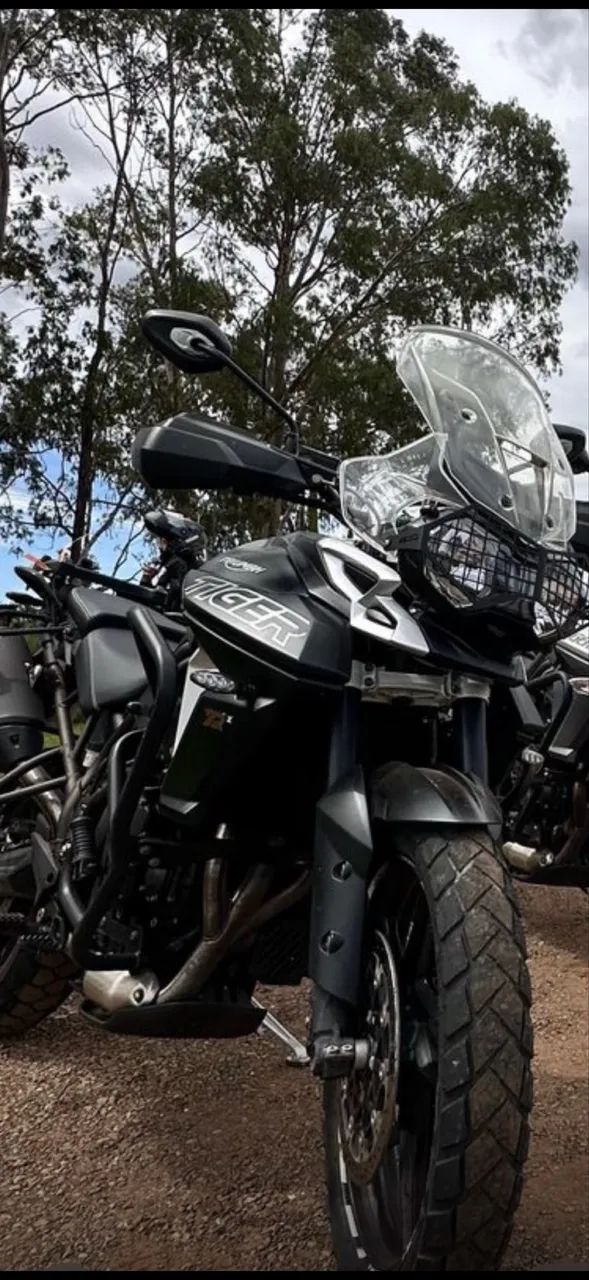 Tiger 800 XrX/20