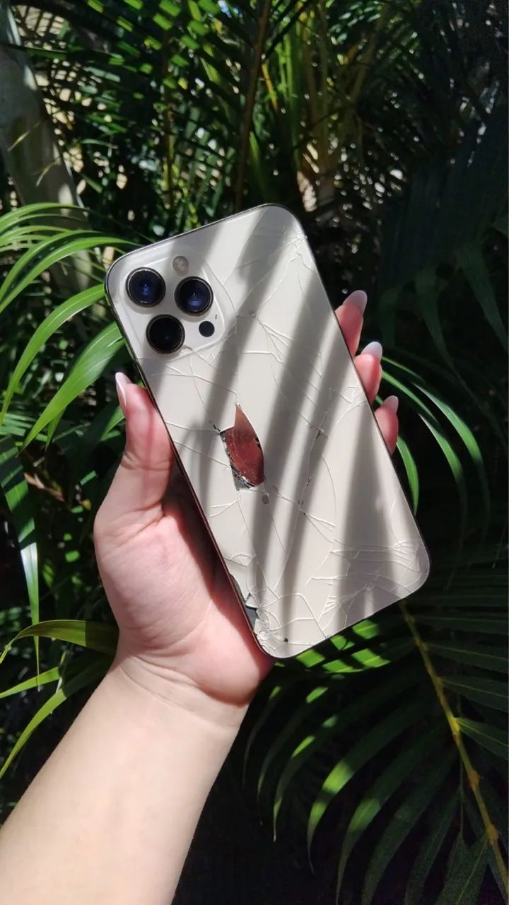 iPhone 12 Pro Max 256Gb