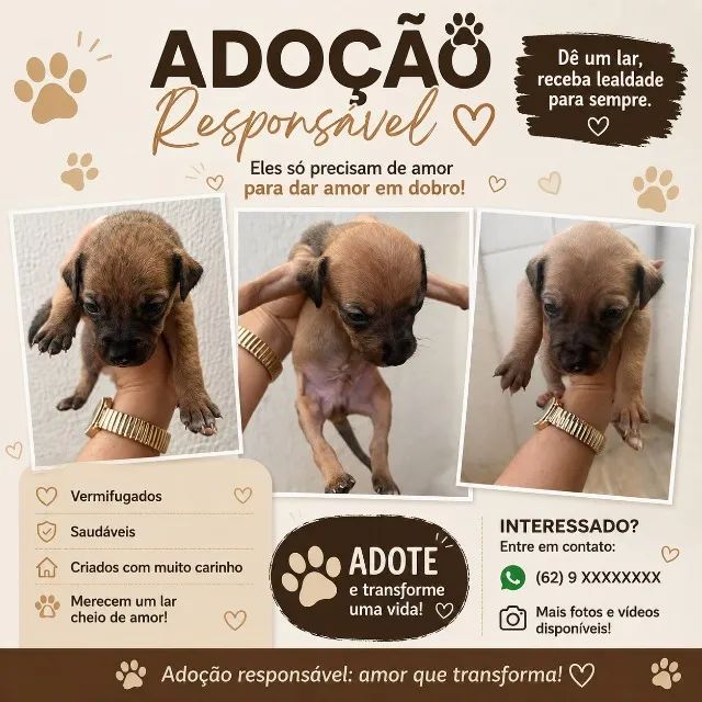 cachorro adoção