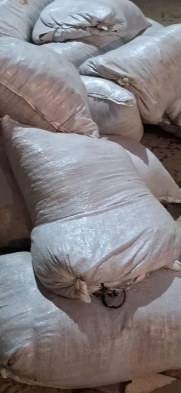 esterco de gado - Foto 2