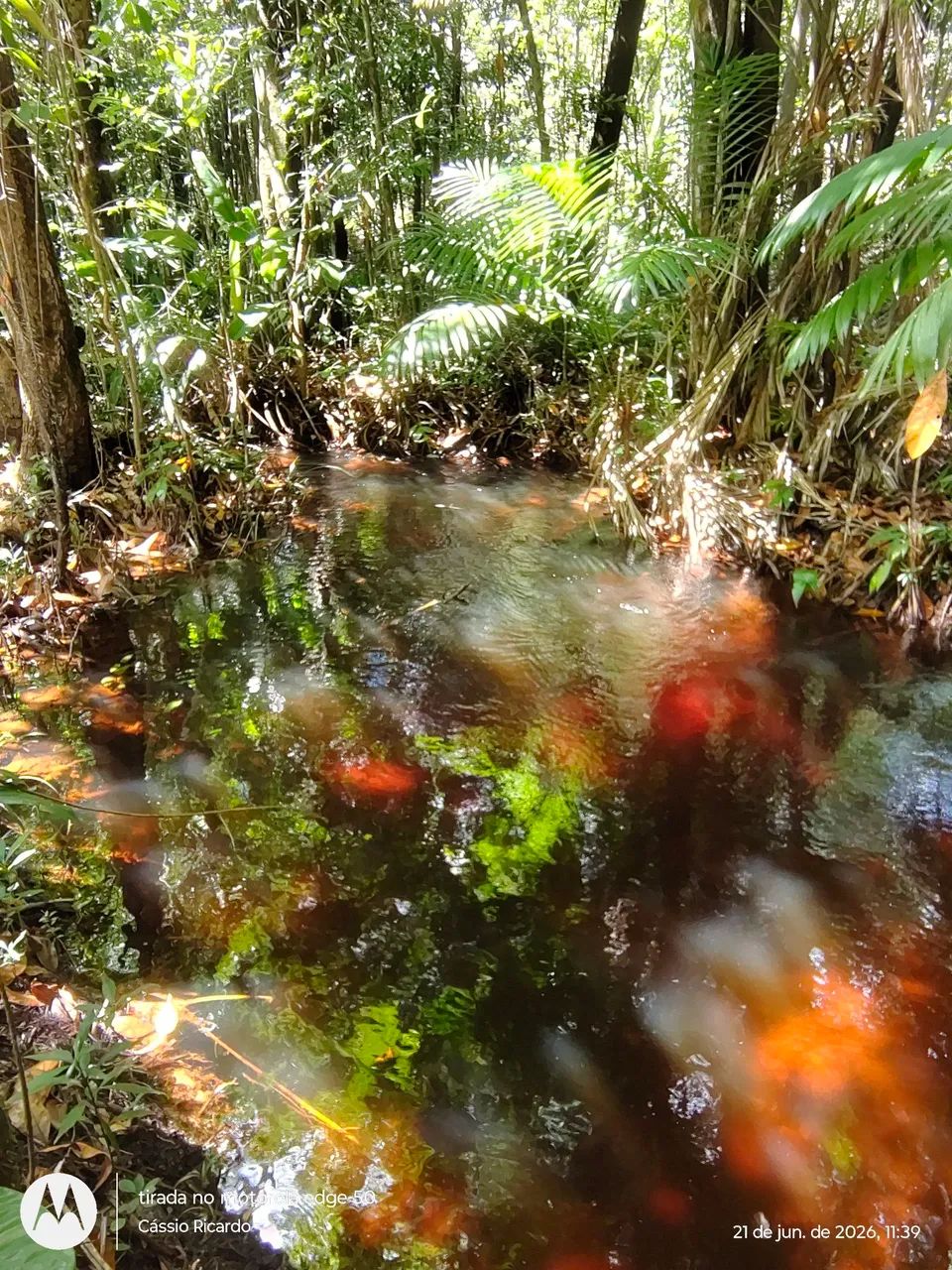 Terreno com rio no fundo  - Foto 4
