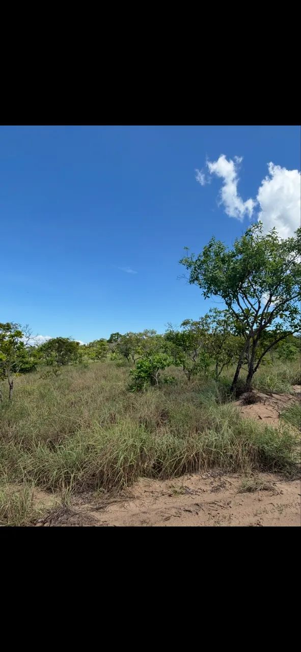 Foto - Santarém - Santana