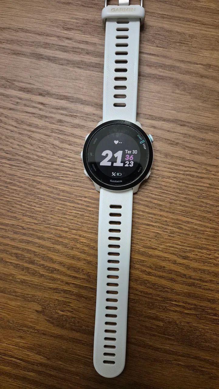 Smartwatch Garmim Forerunner 55