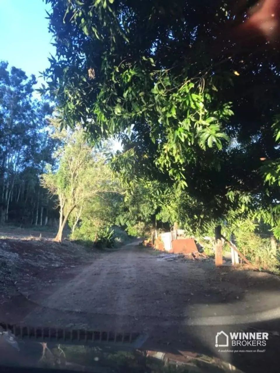 Chácara 3.000m2 - Foto 5
