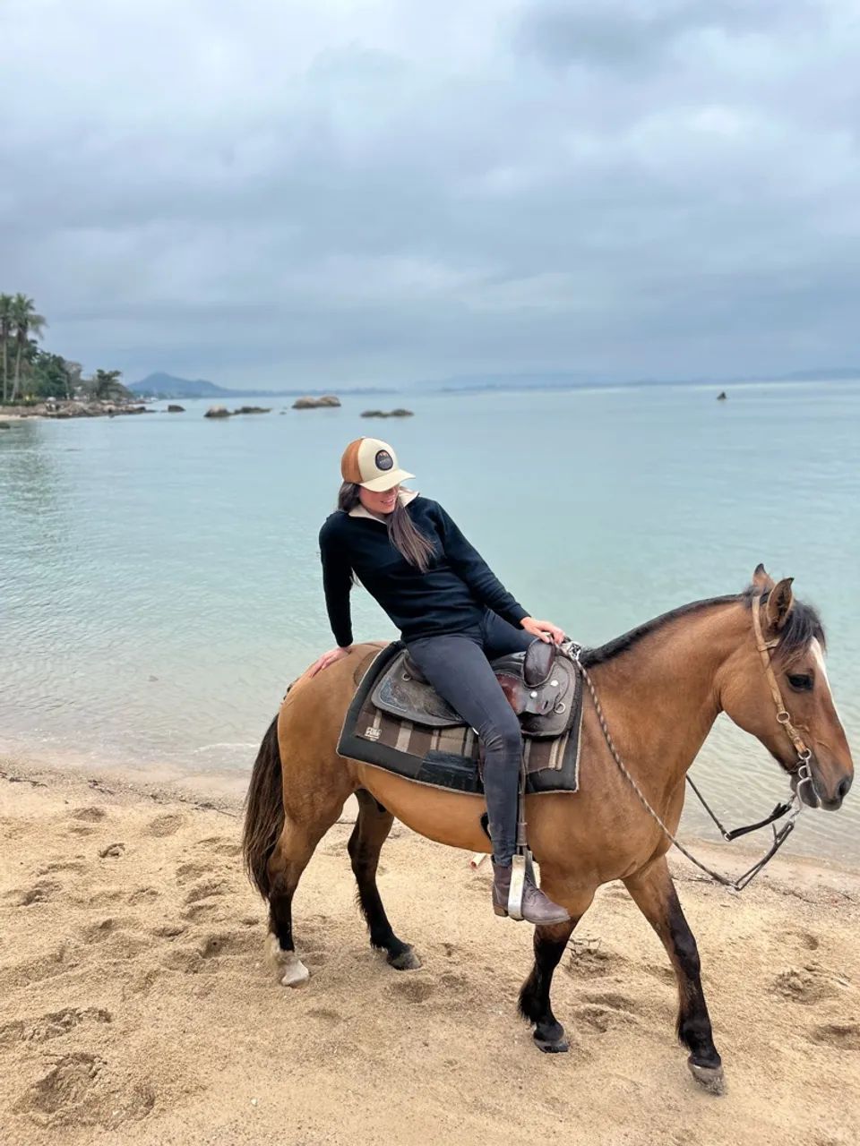 CAVALO CRIOULO BOM DE LAÇO 