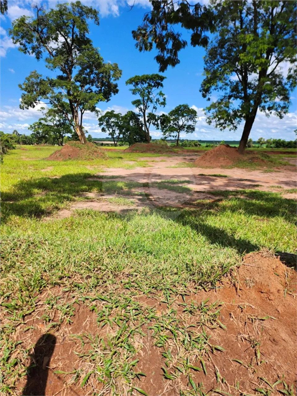 Sítio à venda em Sesmaria ouro - SP - Foto 3