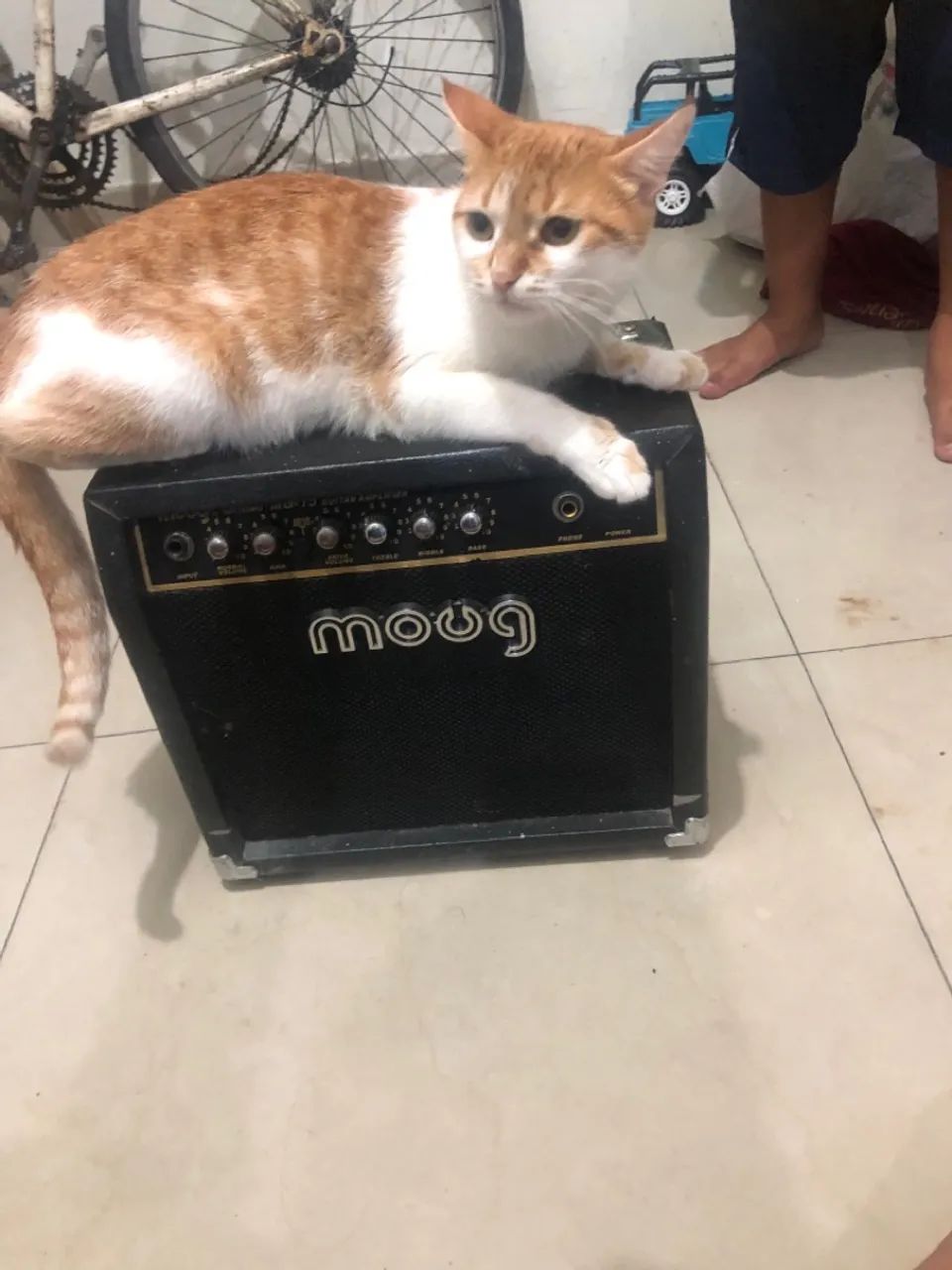 Coxa de som pra guitarra 