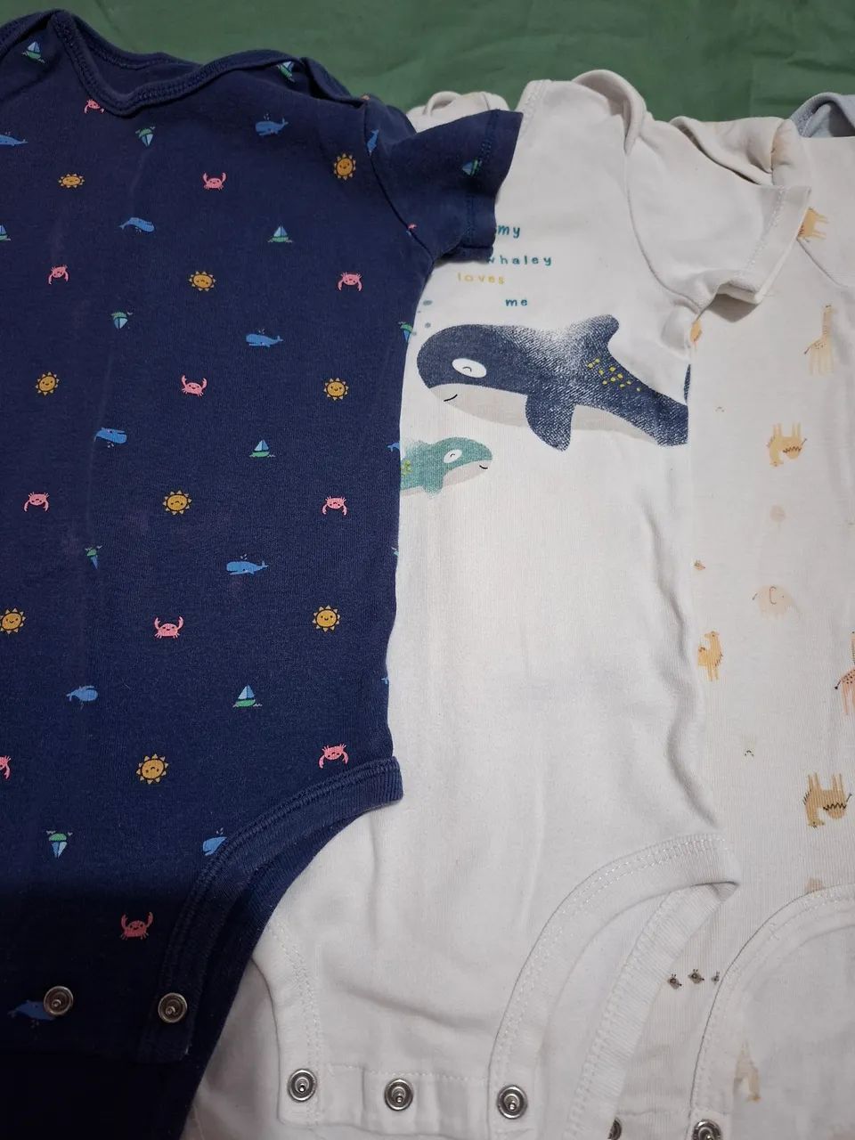 Kit com 8 bory  carters 18m - Foto 4