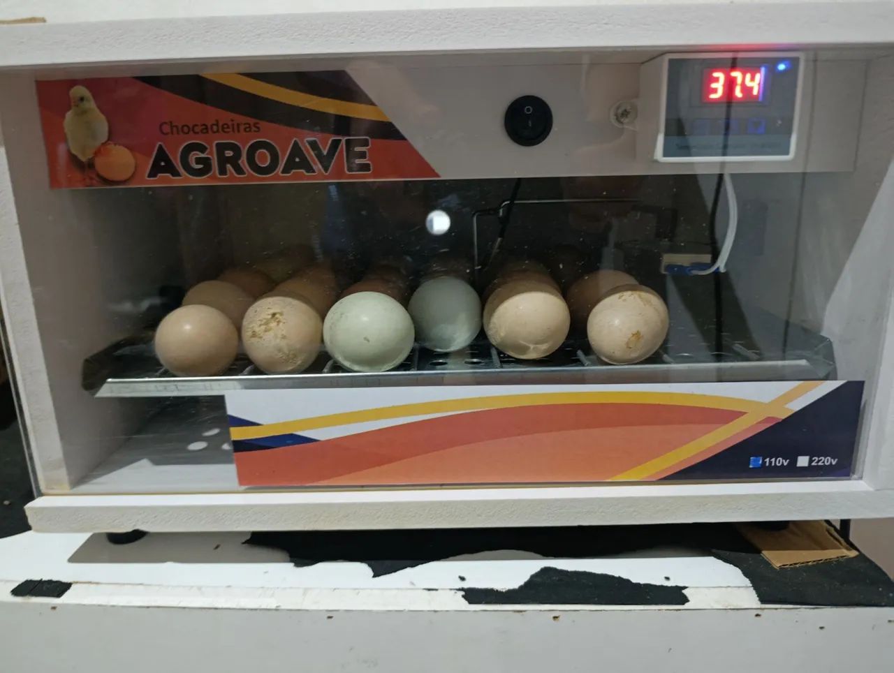 Chocadeira Automática 