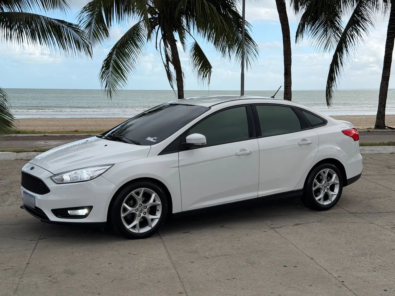 Ford Focus Fastback Se/se Plus 2.0 Flex Aut. 2019