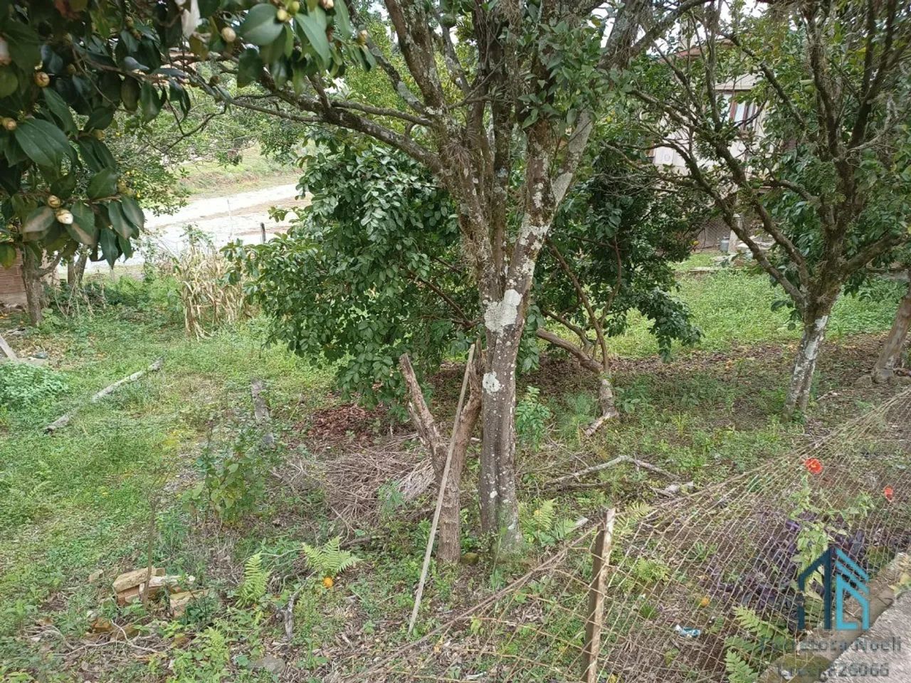 TERRENO A VENDA NO CENTRO DE OTAVIO ROCHA - RS - Foto 3