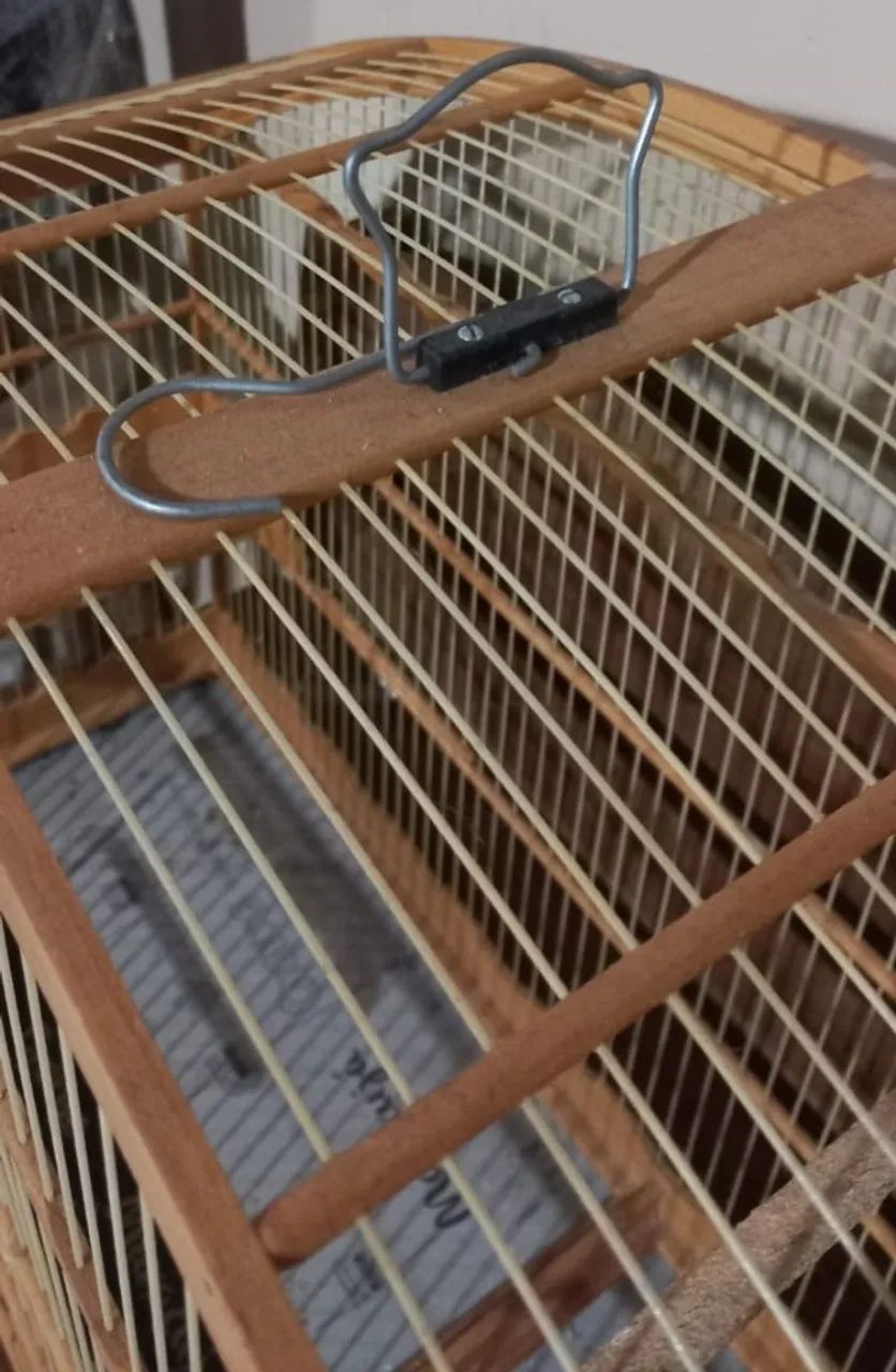 Gaiola para pássaros - Foto 4
