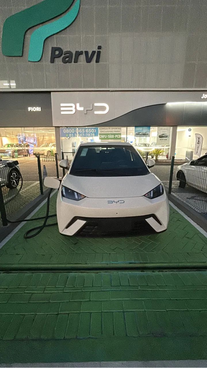Alugo BYD Dolphin Mini 2027 100% elétrico