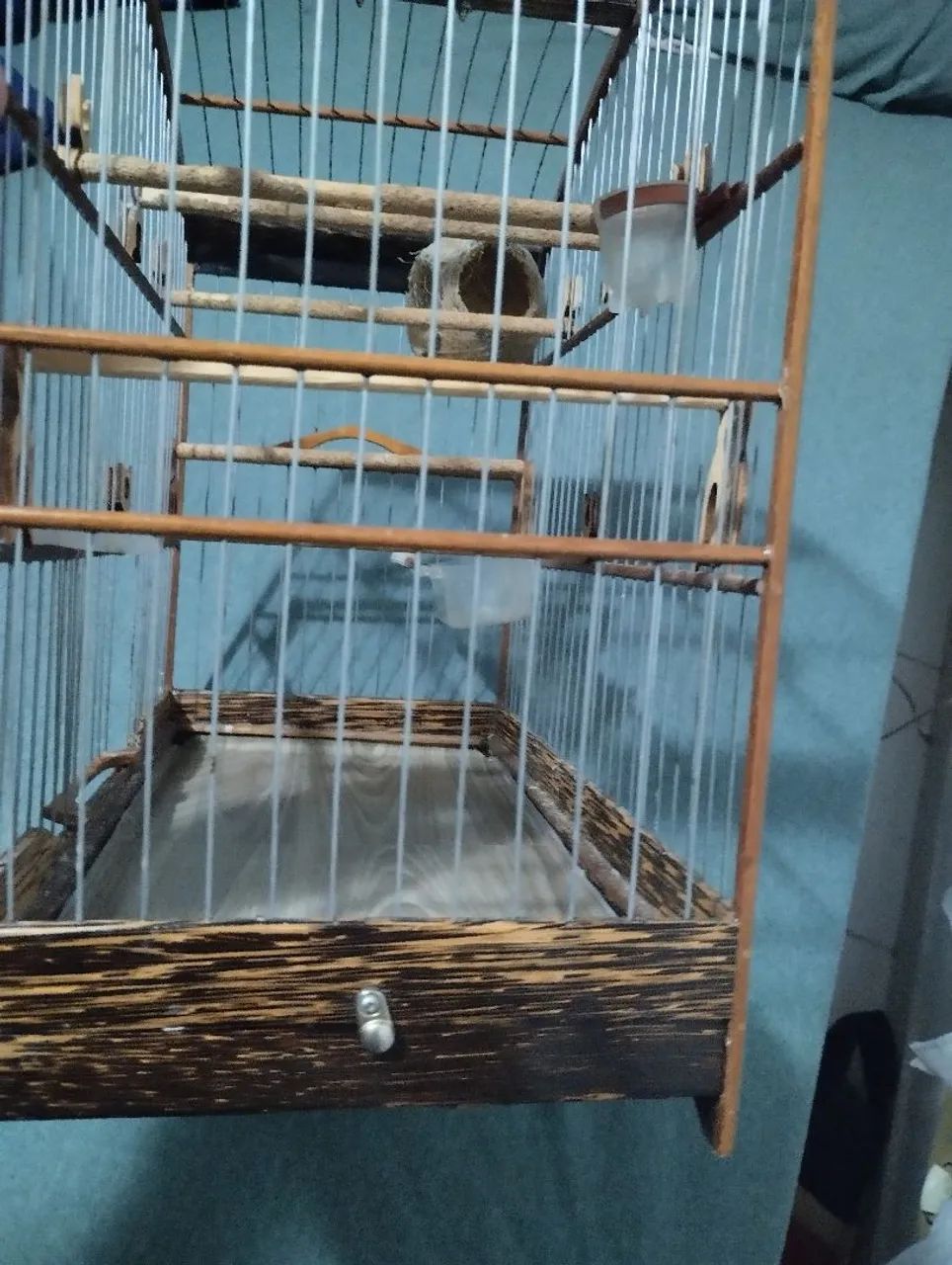 Gaiola de coleiro  - Foto 2